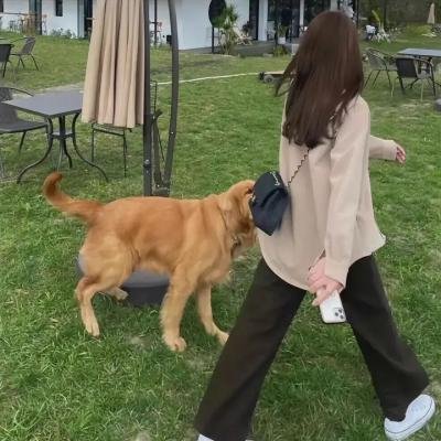 中国兵王